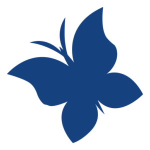 papillon-bleu