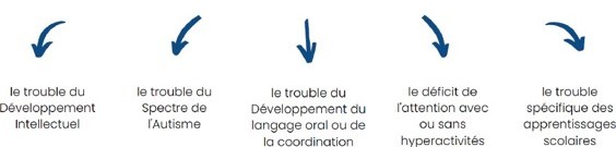 Troubles du neuro-développement
